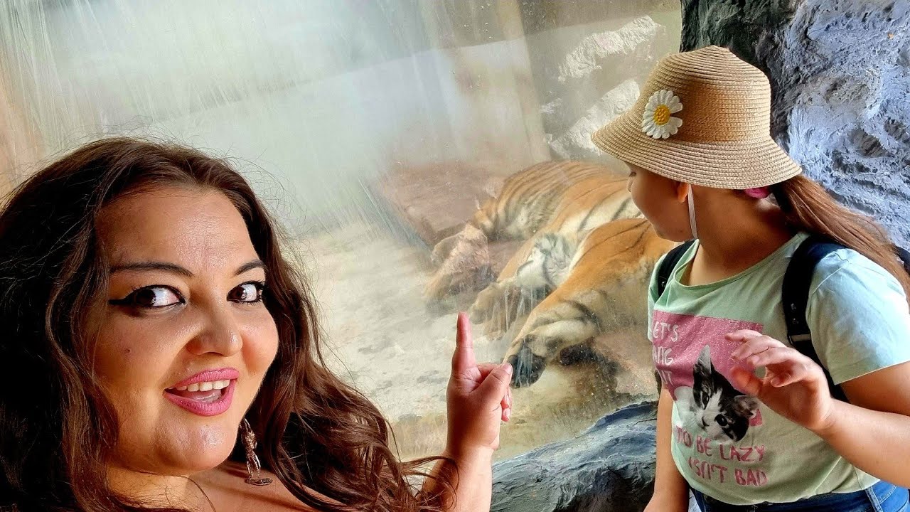 Miry pt Prima Oară la ZOO (Oradea) 🦊🐅🐆🫎🫏🐒🐪🐐#zoo#animal #animals #usa #viralvideo #viral #fyp #vlog