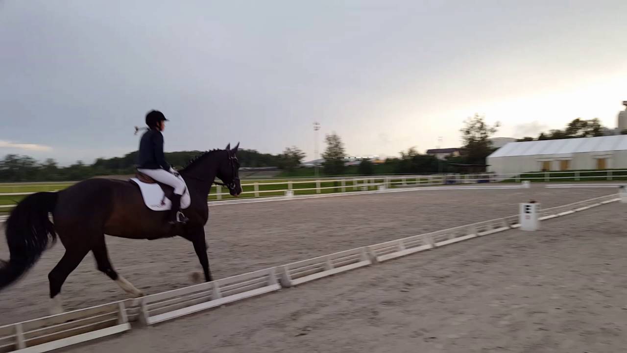 White&Black dressage with junior rider