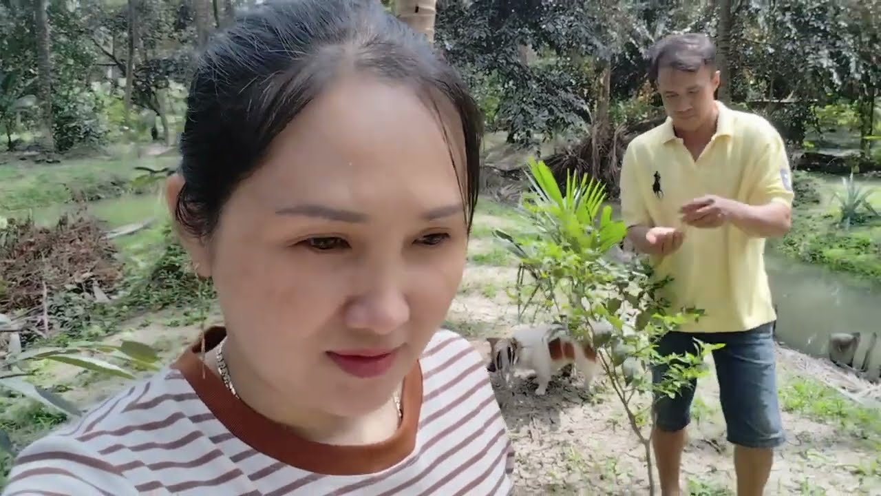 Anh Nông Dân Luộc Trứng Không Cần Nước Dị Mà Ngọt Thơm Ngon 
