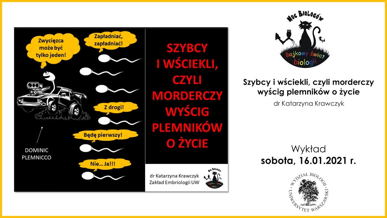 Szybcy i wściekli, czyli morderczy wyścig plemników o życie