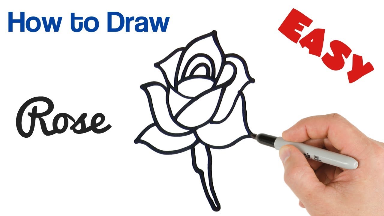 How to Draw a Rose Easy