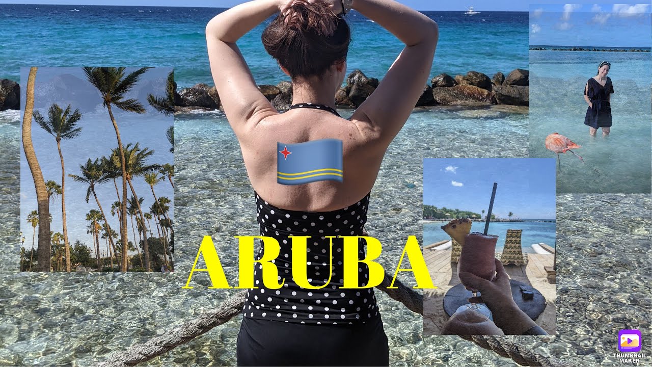 Visiting Aruba | Flamingo Beach l Renaissance Resort