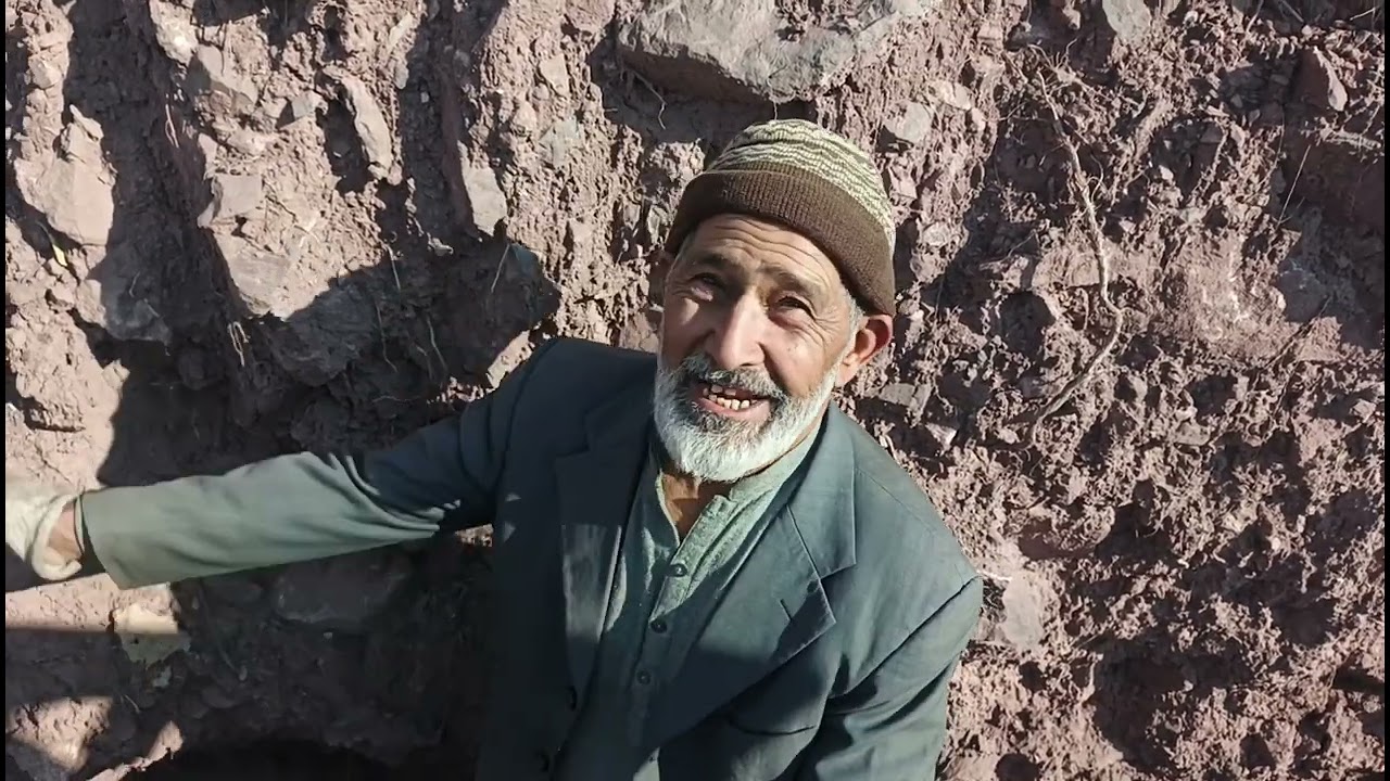 #followforfollowback