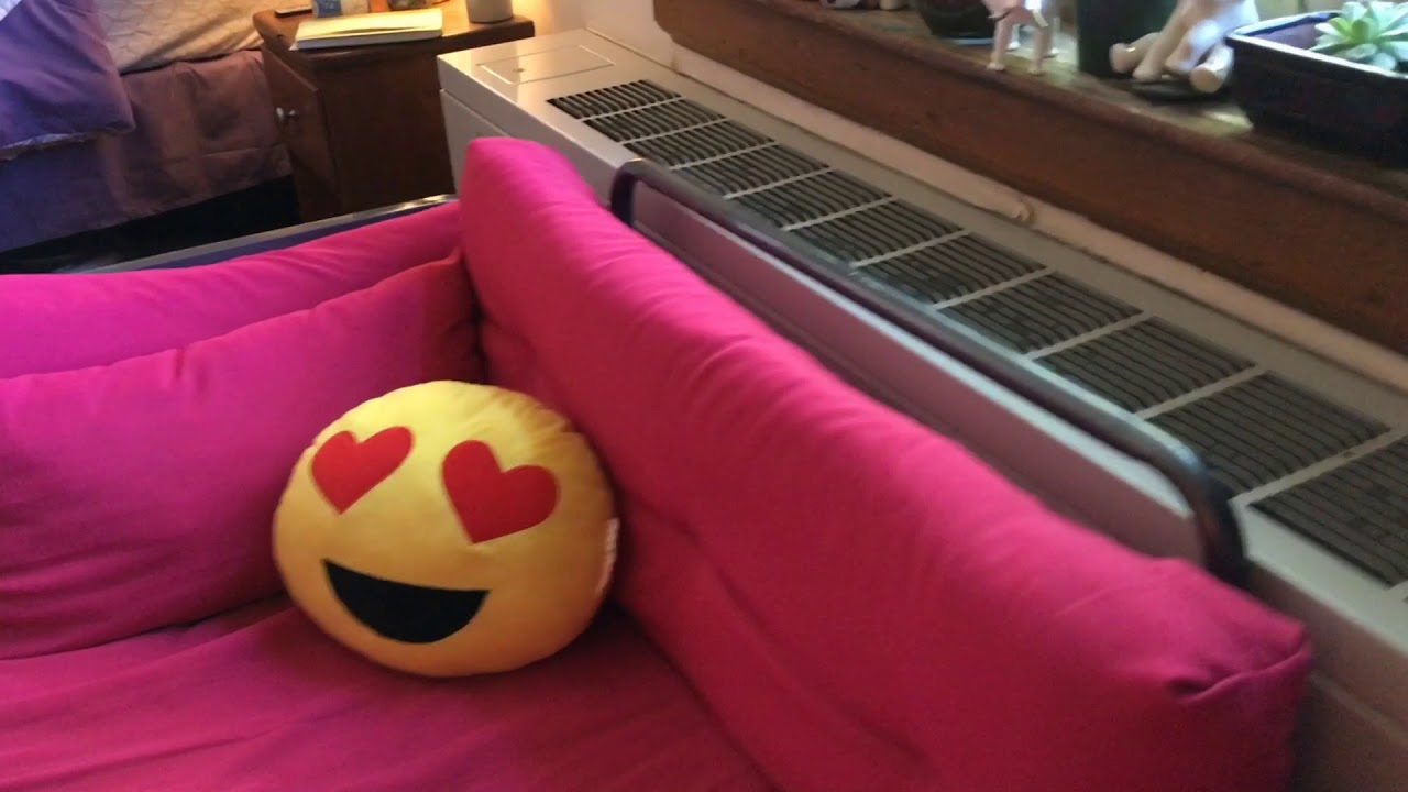 Chapin House Hyperlapse with Sofia '20 and Starry '20