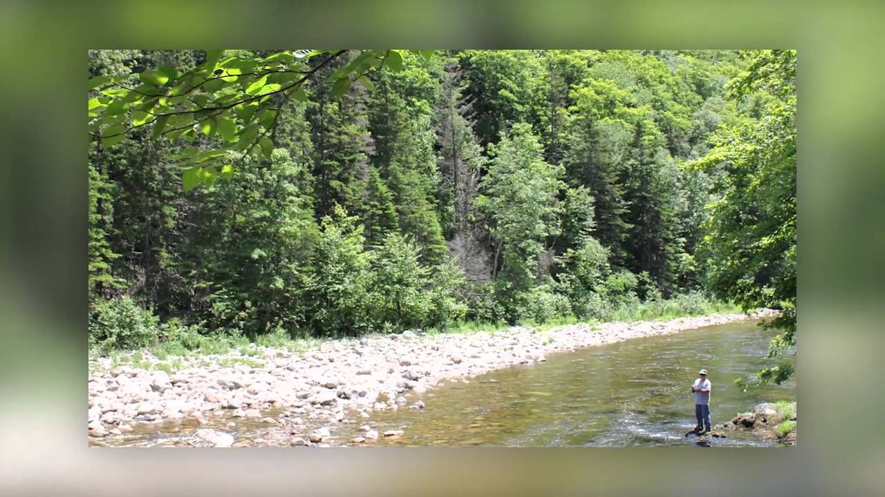 3719 West Big Intervale Road Margaree Valley, NS B0E