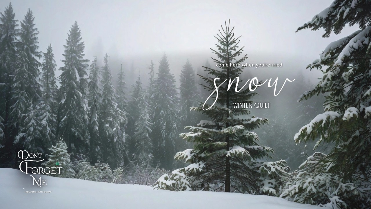 Winter Nature❄️ | Lo-fi Guitar Music for Sleep, Study, and Calm Moments