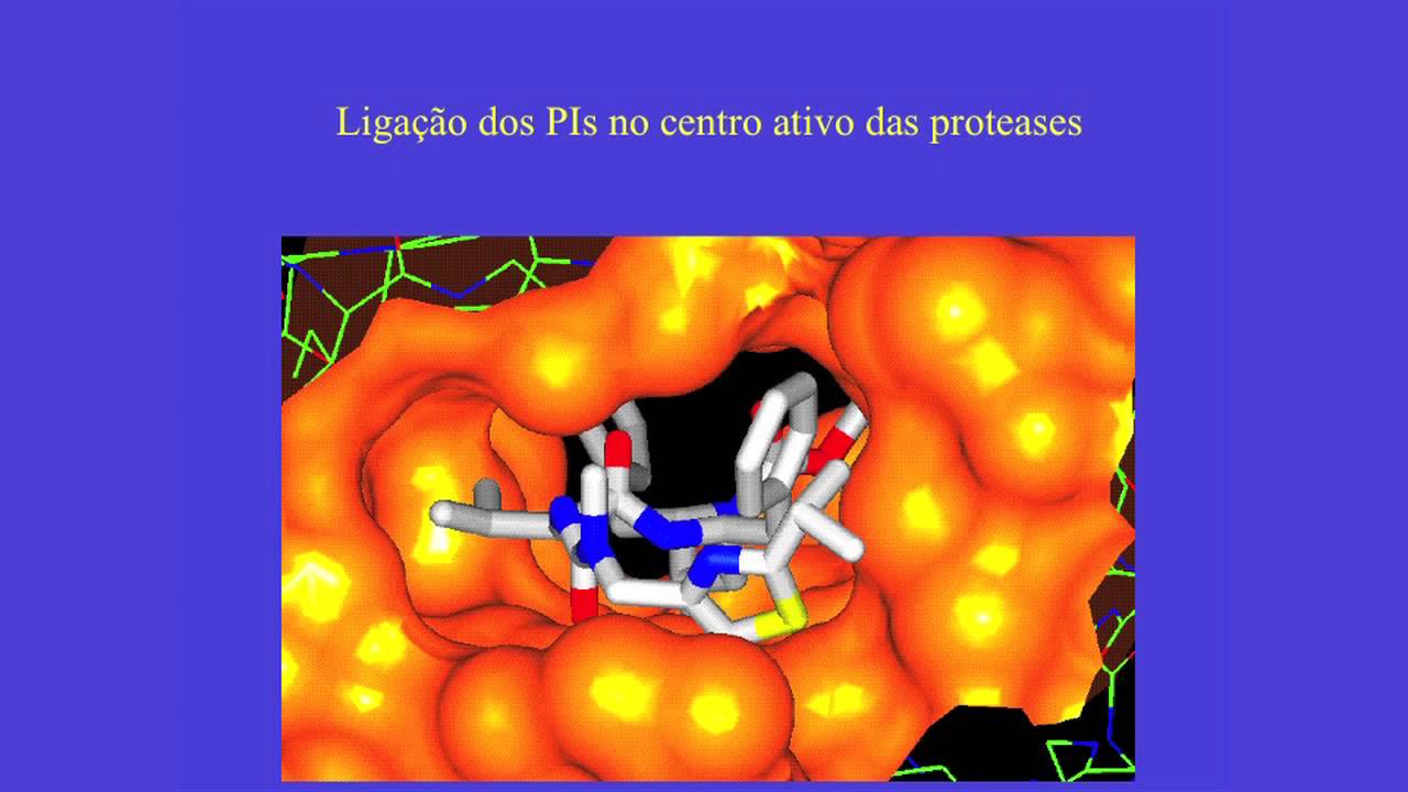 Mecanismo de ação das drogas antiretrovirais - Amilcar Tanuri