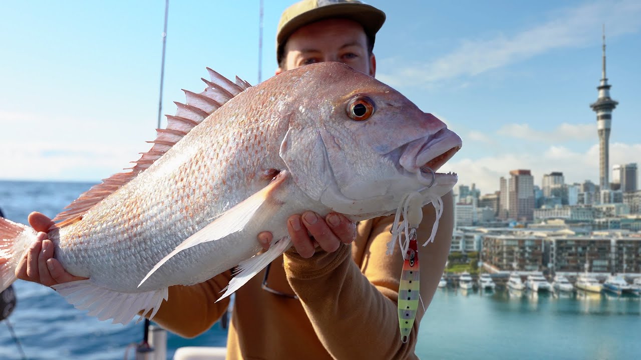SIDE MISSION: Big fish in city waters! (Auckland NZ) - Tascast Fishing