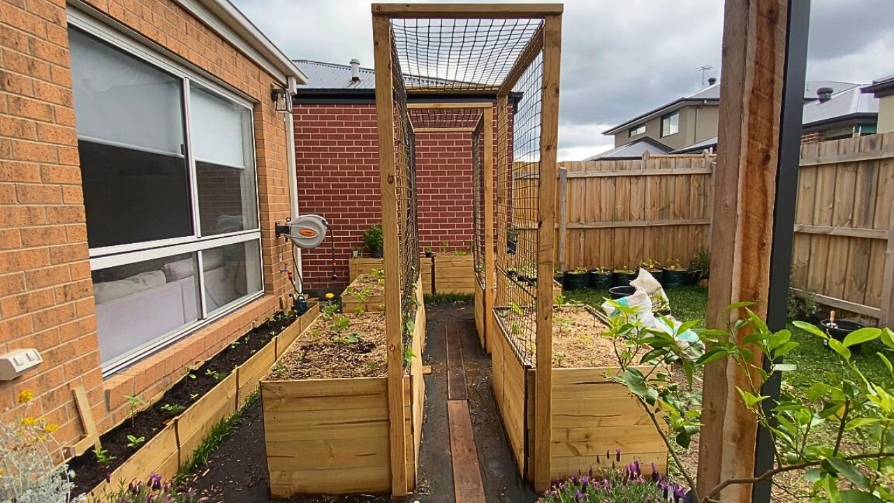 #6 Our Small Backyard Garden Just Got a Massive Upgrade