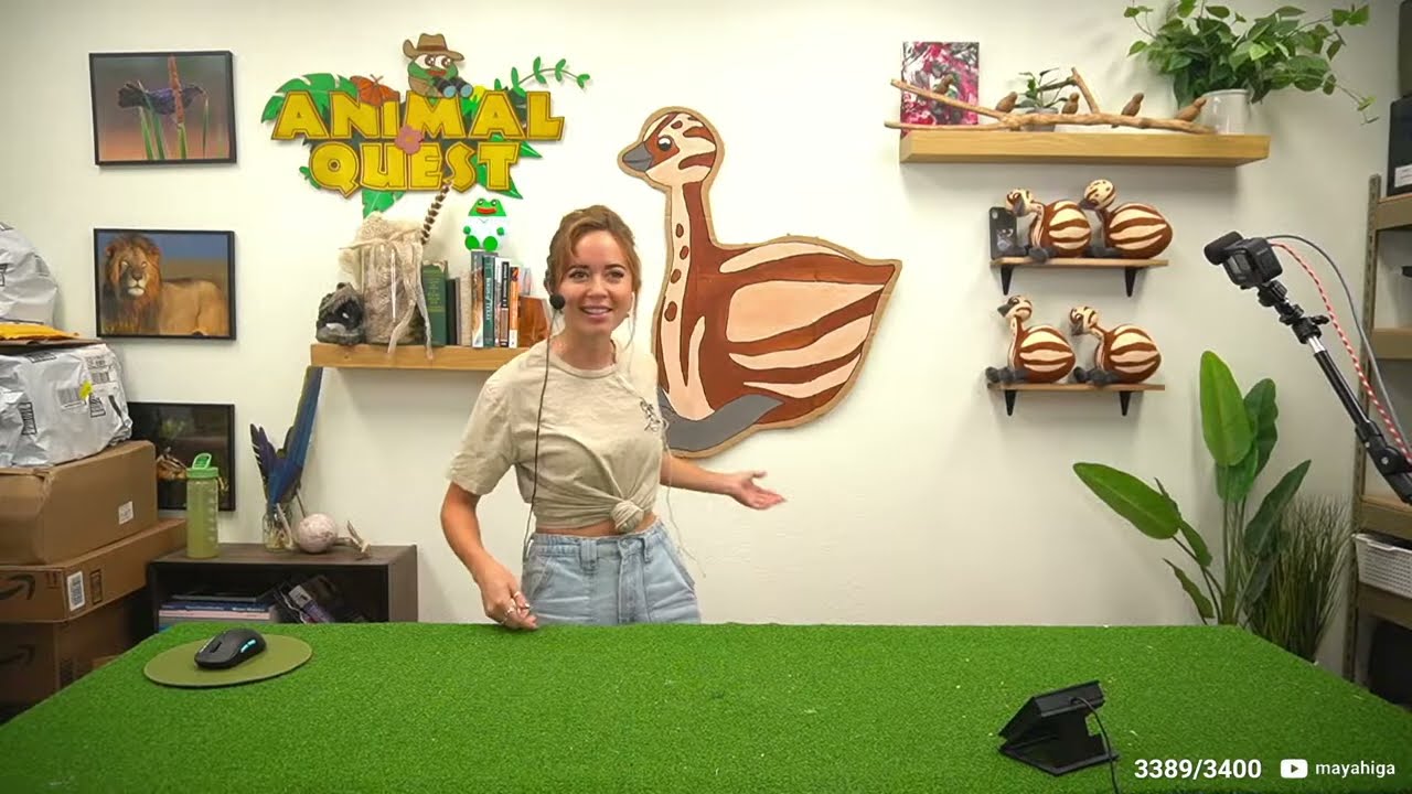 Alveus PO BOX Stream - 7/6/22