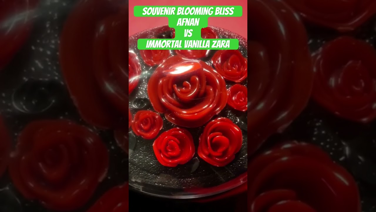 blooming bliss afnan o immortal vanilla Zara dupe vanilla powder #profumiarabi #profumilowcost