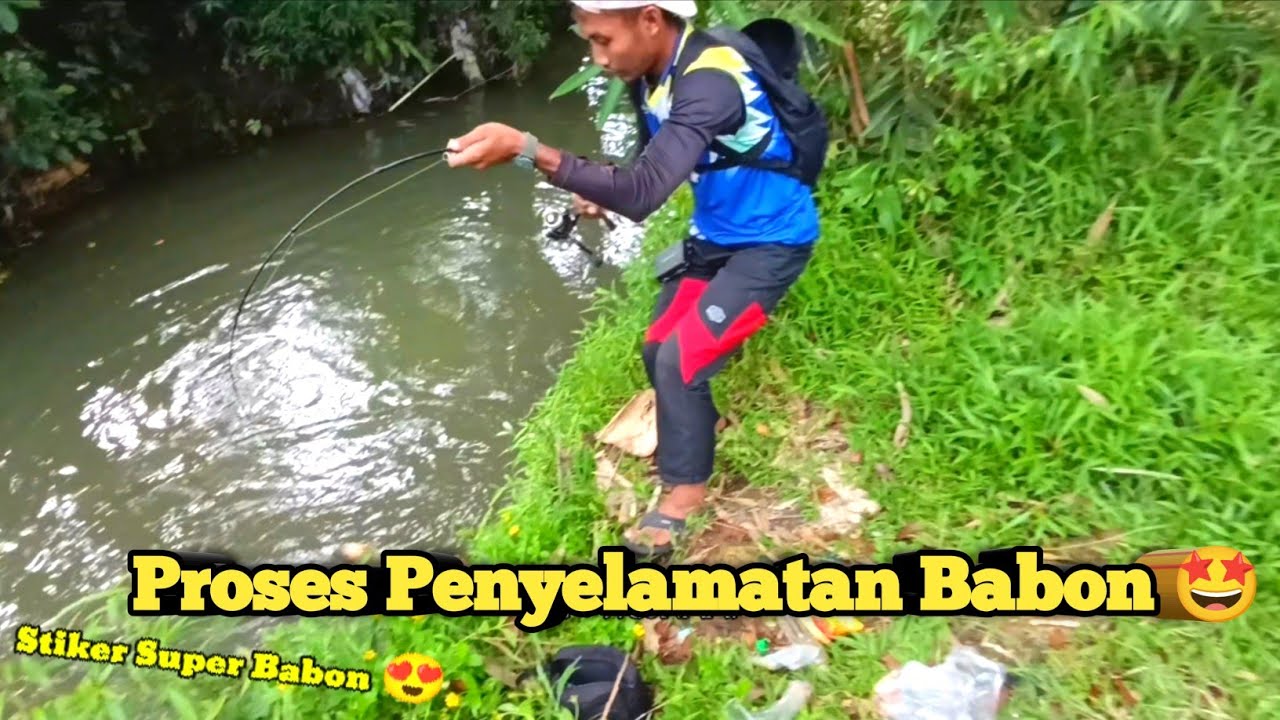 TERSELAMATKAN ‼️Spot Gacor Ketuaaaa 🤩