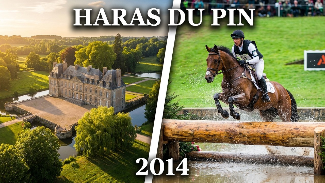 Cross des Jeux Equestres Mondiaux au Haras du Pin 2014 (full HD)