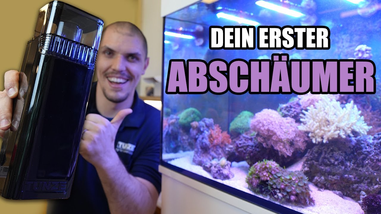 KLEINER ABSCHÄUMER für dein Aquarium? - Die Lösung von Tunze!