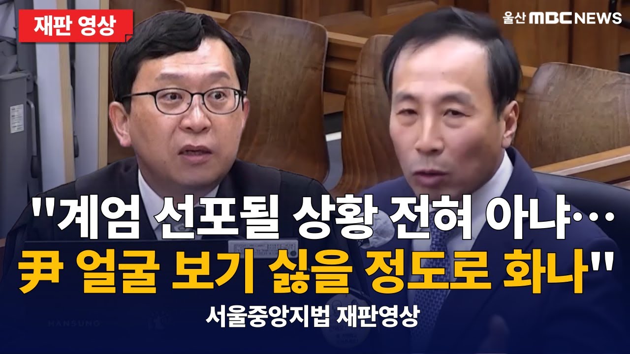 (재판영상) '계엄 관련 회의 불참' 사표 던진 류혁 전 법무부 감찰관. 이진관 부장판사 앞 증언 : 서울중앙지법 내란 중요임무종사