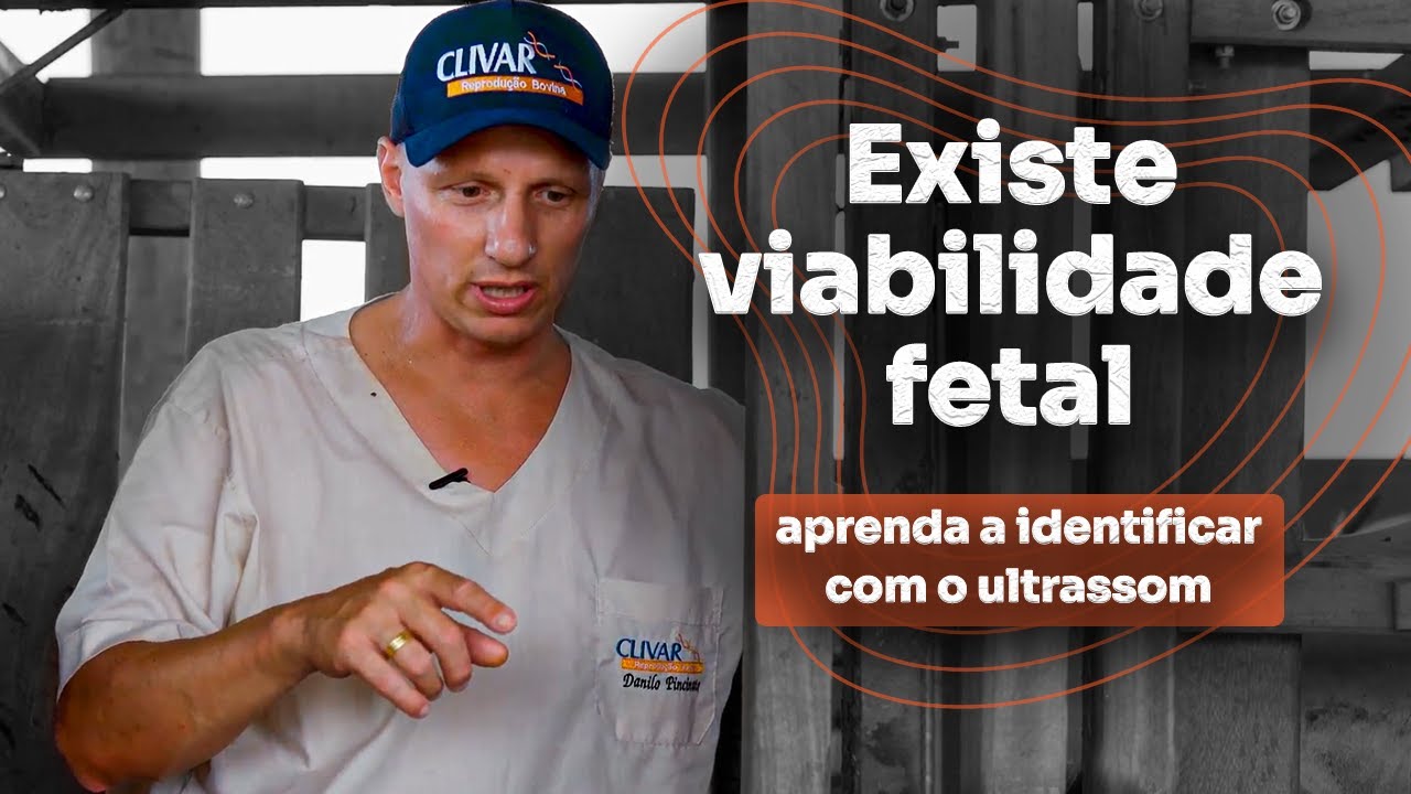 Existe viabilidade fetal? Aprenda a identificar com o ultrassom.