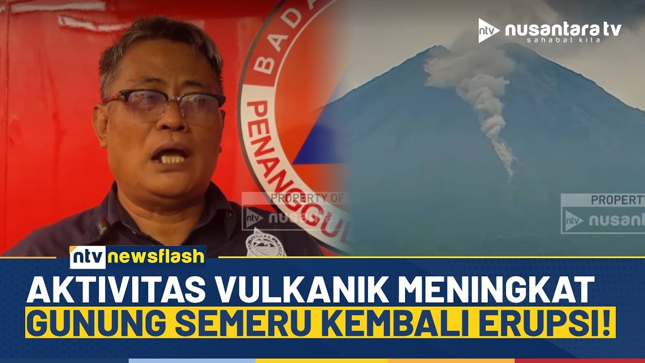 Semeru Kembali Mengamuk! Aktivitas Vulkanik Meningkat, Awan Panas Capai 800 Meter | NTV NEWS FLASH