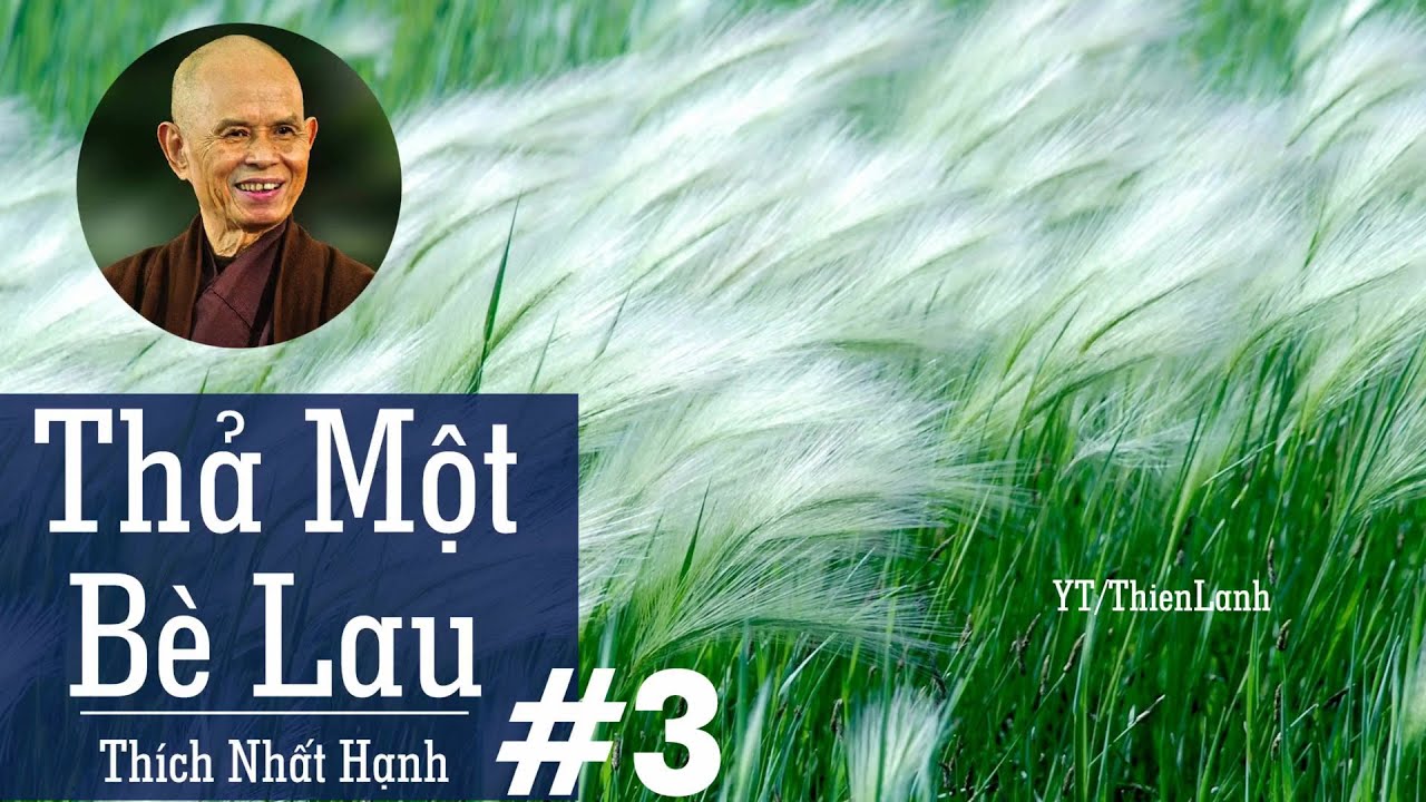 THẢ MỘT BÈ LAU (Phần 3) - THÍCH NHẤT HẠNH | sách nói Phật giáo, kho sách Phật giáo