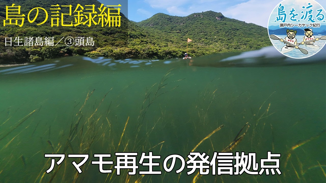 【島を渡る】島の記録編　瀬戸内海をアマモ場再生技術が救う