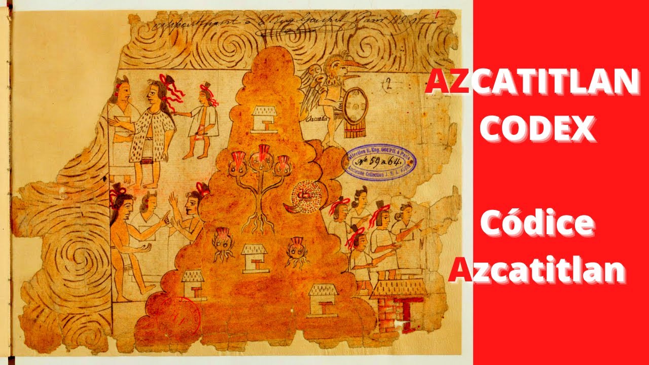 ​👀📚​​Look ​Azcatitlan CODEX | C&oacute;dice Azcatitlan