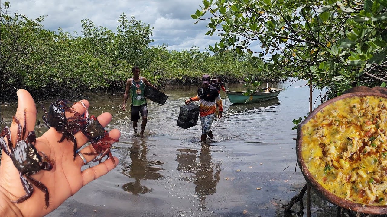 Aventura no mangue captura de(aratu,siri,baiacu.) E preparo de uma moqueca de siri 