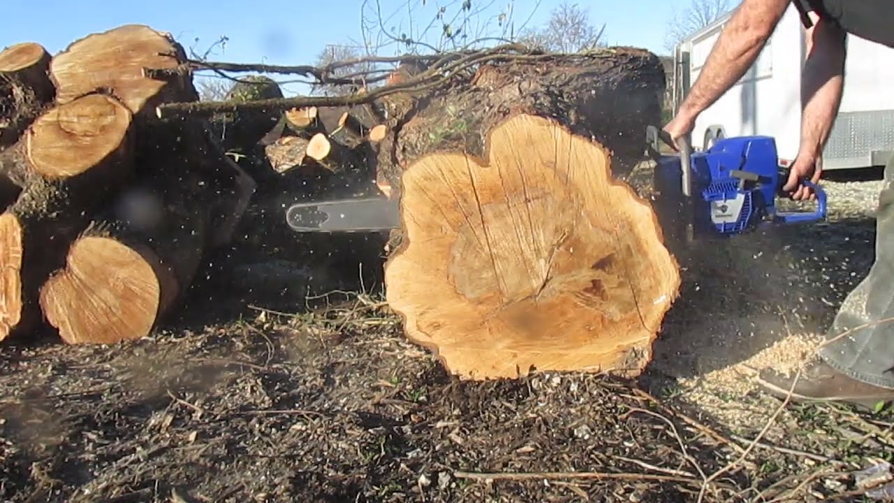 Chainsaws After Work. Holzfforma G395. Dull Chain.