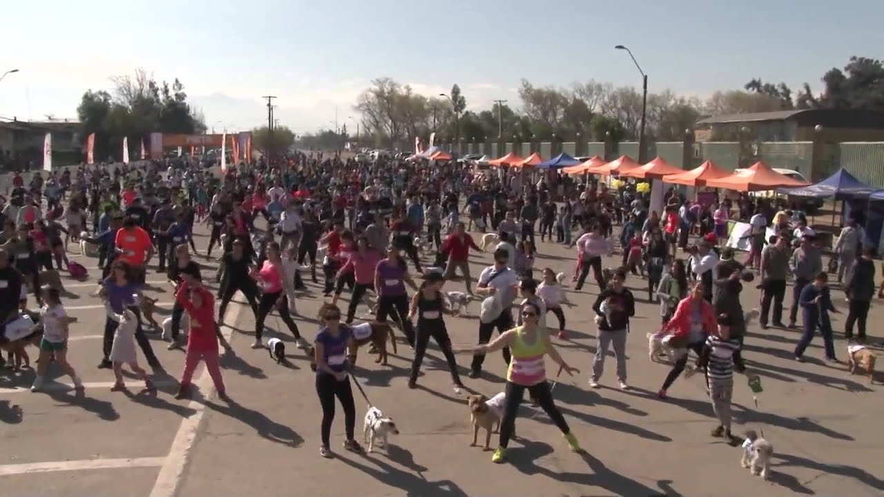 Miles de rancagüinos y sus mascotas participaron de la 2ª versión de la Cani Running