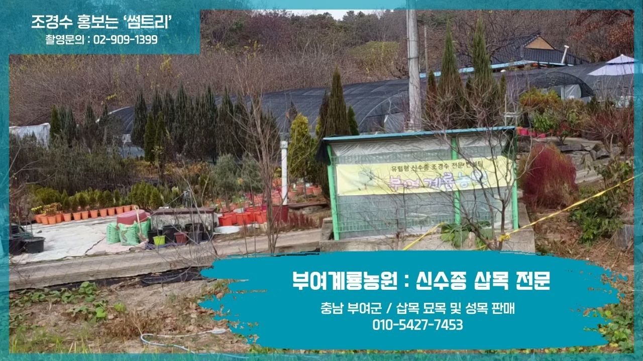 충남 '부여계룡농원'