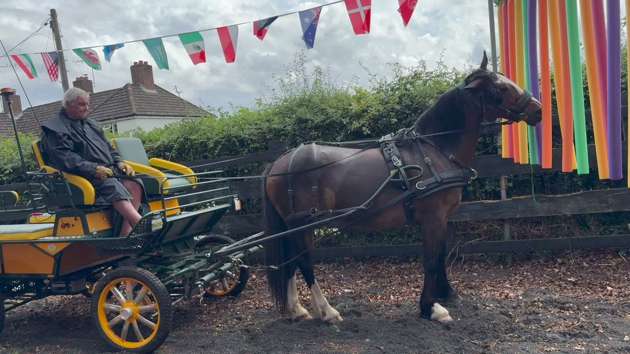 Facing An Obstacle A Horse Doesn't Like - a Video in Real Time