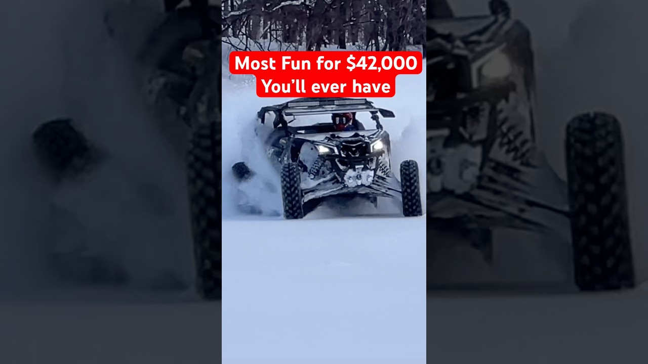 $42,000 ATV vs Normal Riders #comparison #atvlife