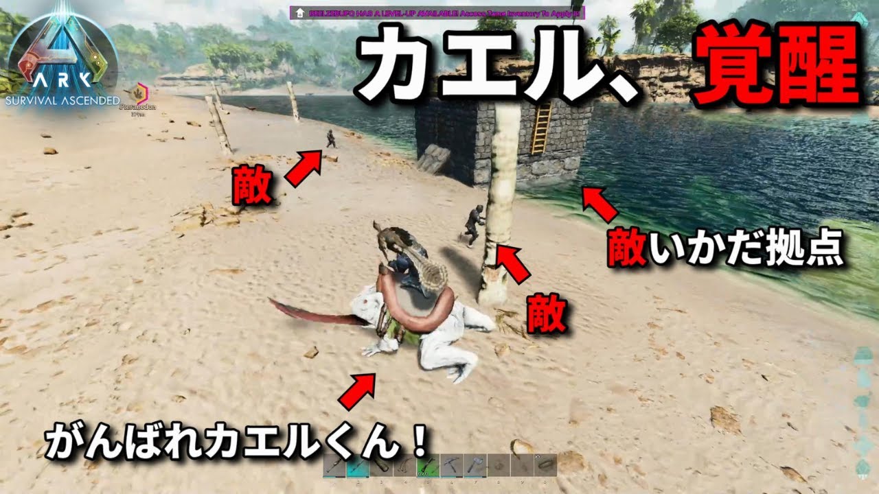 【ASA】カエルをナメてるやつらは舐められる【PVP】＃12
