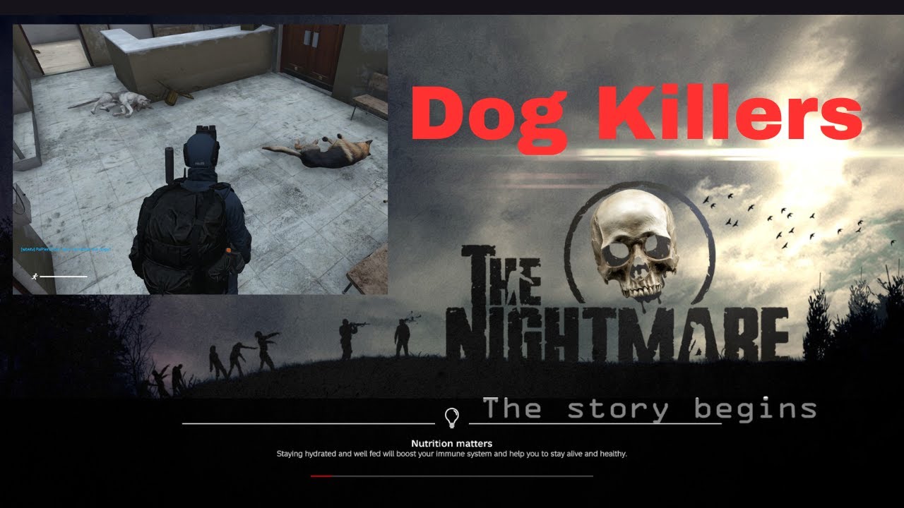 Unveiling Dog Killers: on DayZ The Nightmare Sever #dayz #dayzstandalone