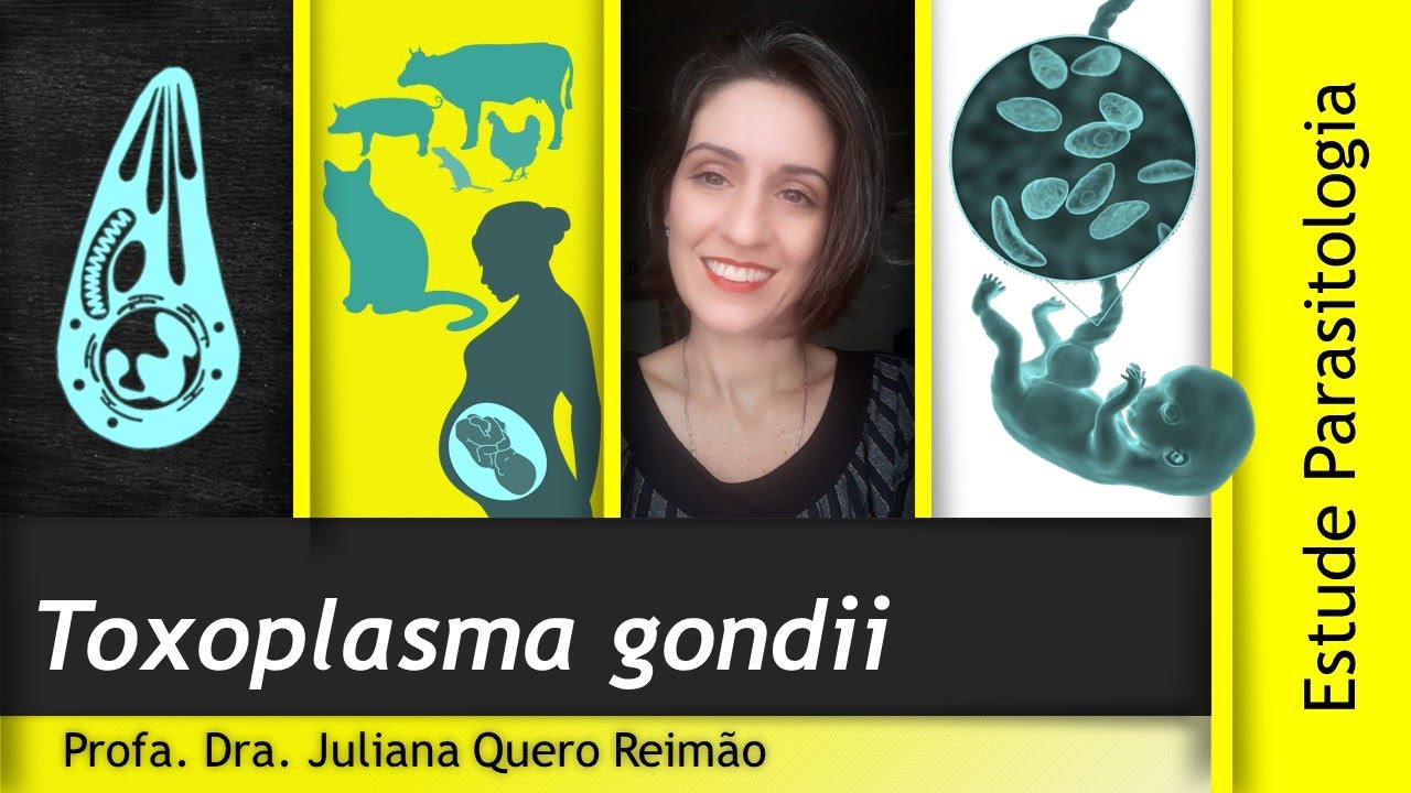Aula sobre Toxoplasma gondii e Toxoplasmose