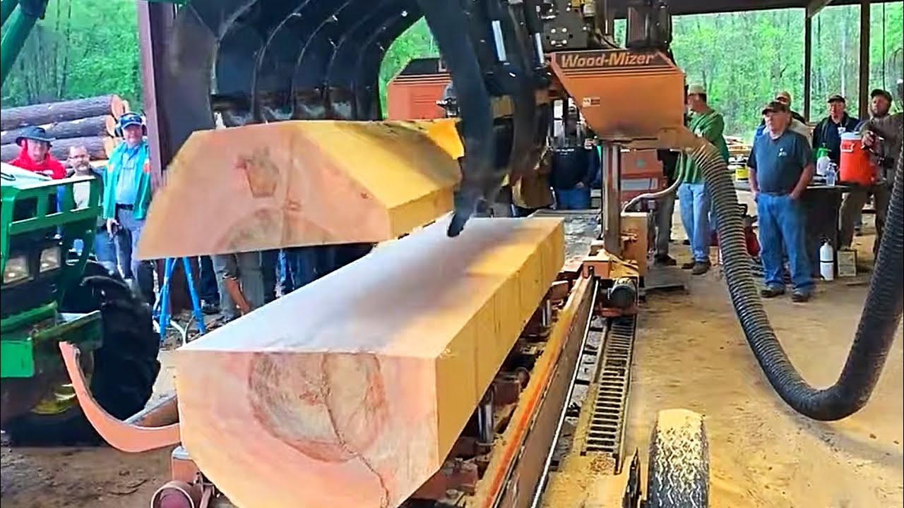 Take A Look Inside This Massive Sycamore! Epic Lumber