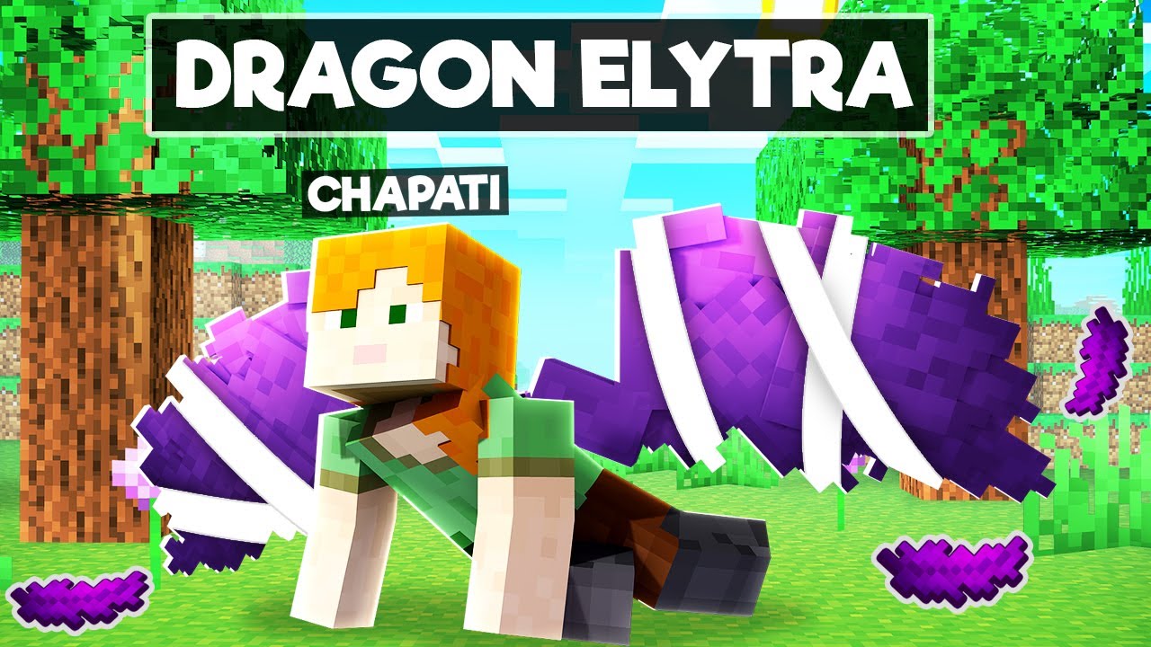 LOGGY FOUND DRAGON ELYTRA | MINECRAFT