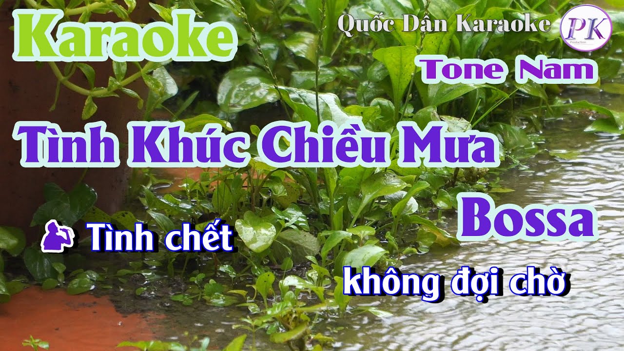 Karaoke Tình Khúc Chiều Mưa | Bossa Nova | Tone Nam (Gm,Tp:110) | Quốc Dân Karaoke