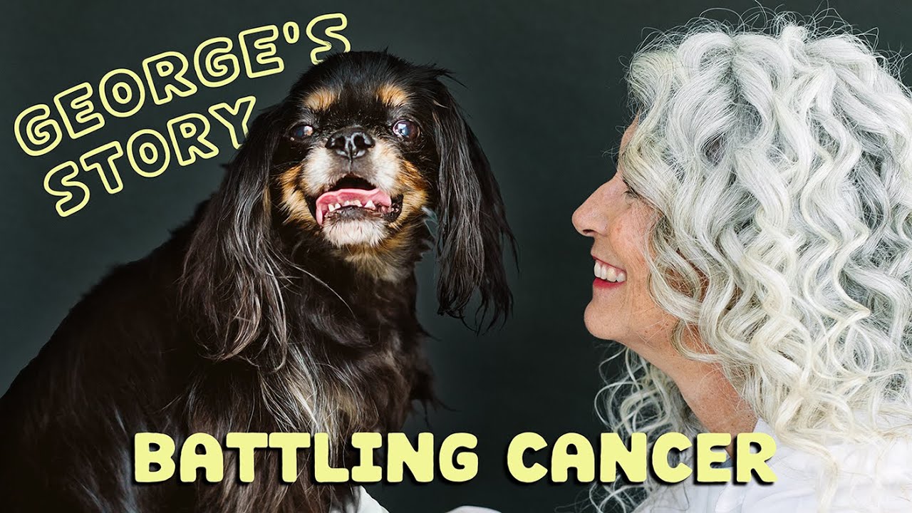 George's Battle With Cancer🌈🐾 Dealing With Pet Loss