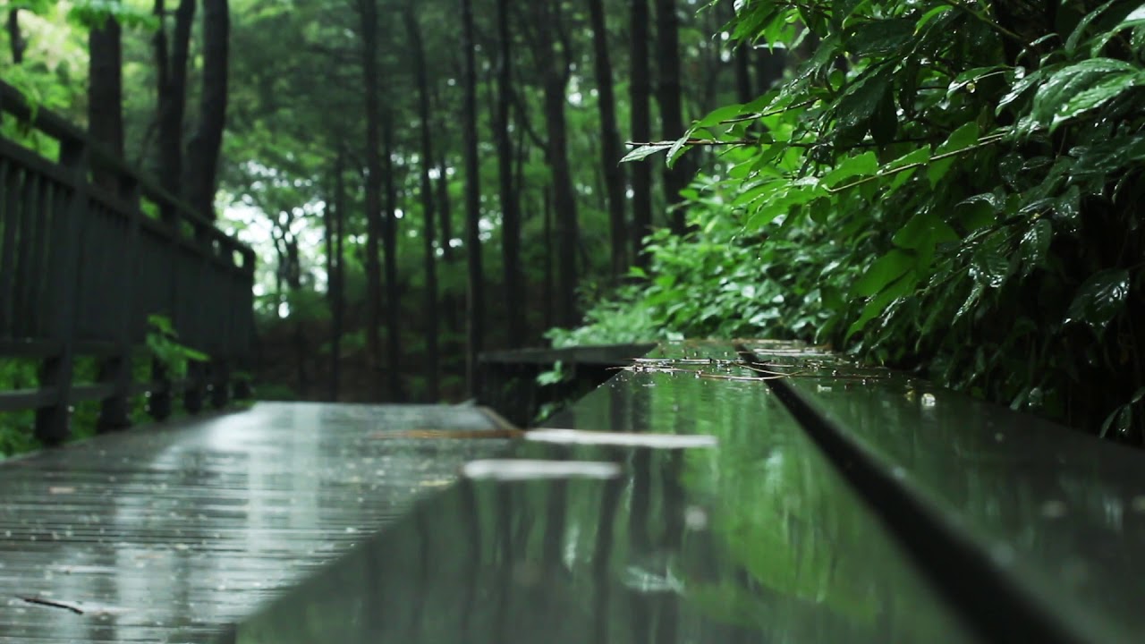 Drizzle Rain ❤️🌦️