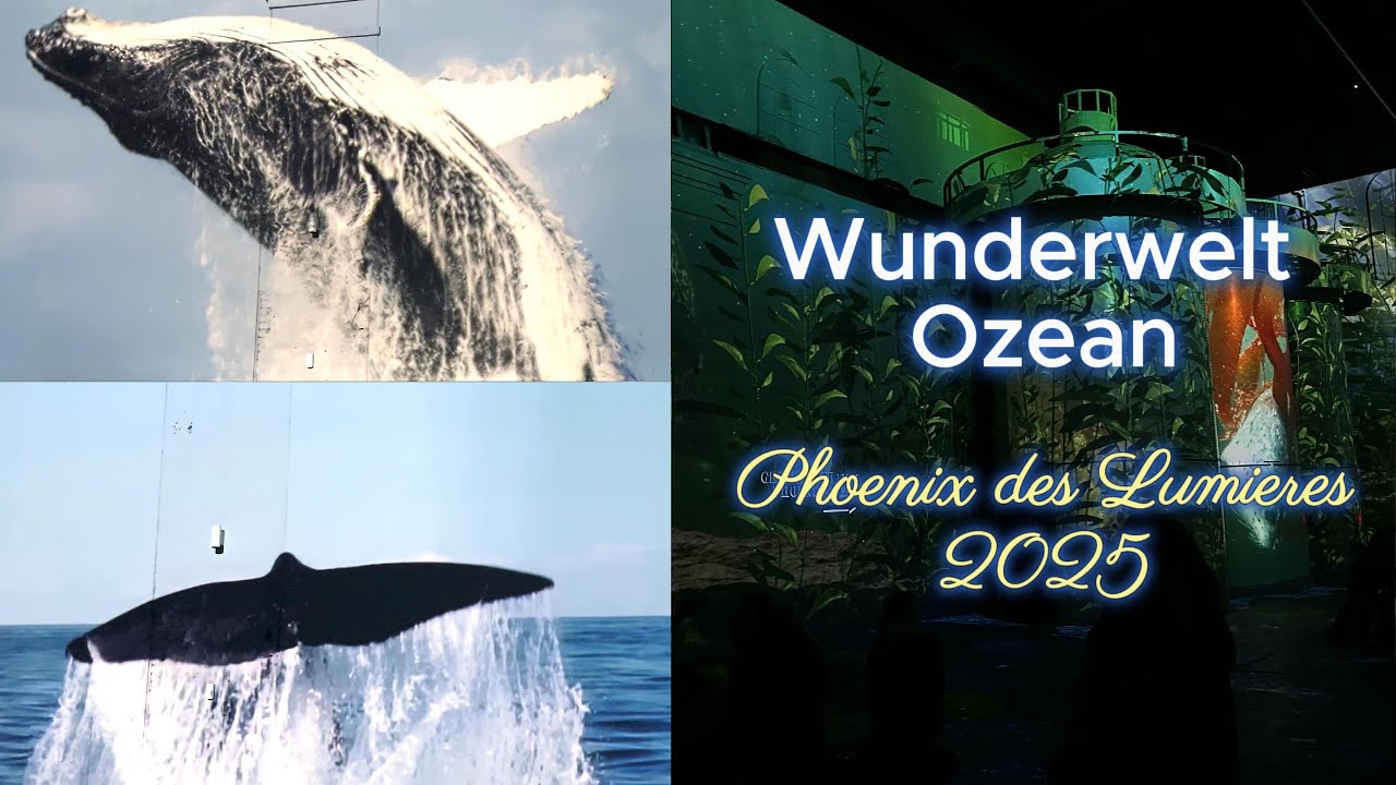 (4K) 🚨 WUNDERWELT OZEAN / PHOENIX DES LUMIÈRES  DORTMUND 2025 FULL SHOW 🚨/ SAVE THE SEA 🐟🐠🐬