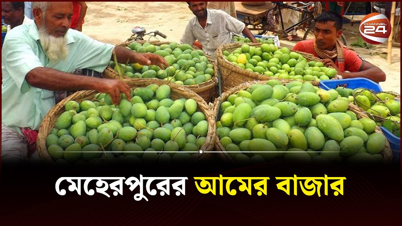 মেহেরপুরের আমের বাজার | Meherpur | Channel 24
