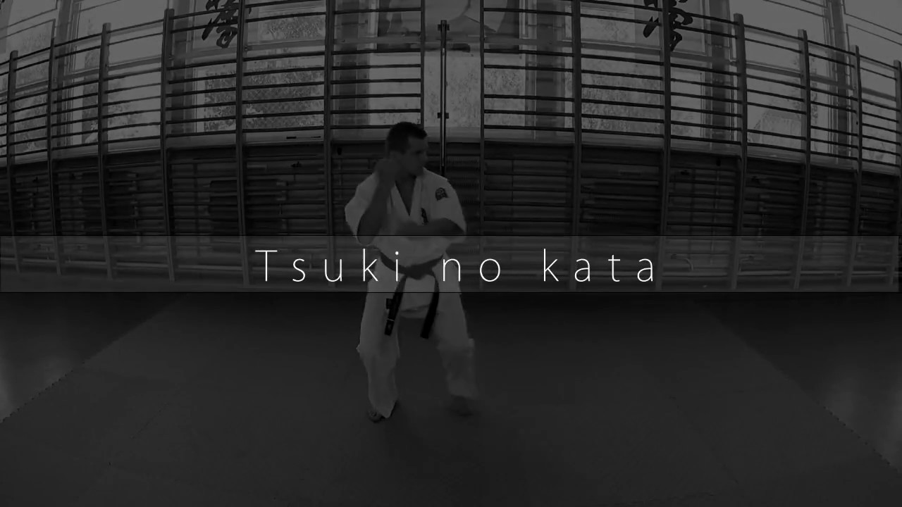 Tsuki no kata - Kyokushin brown belt 1st kyu kata, STEP BY STEP