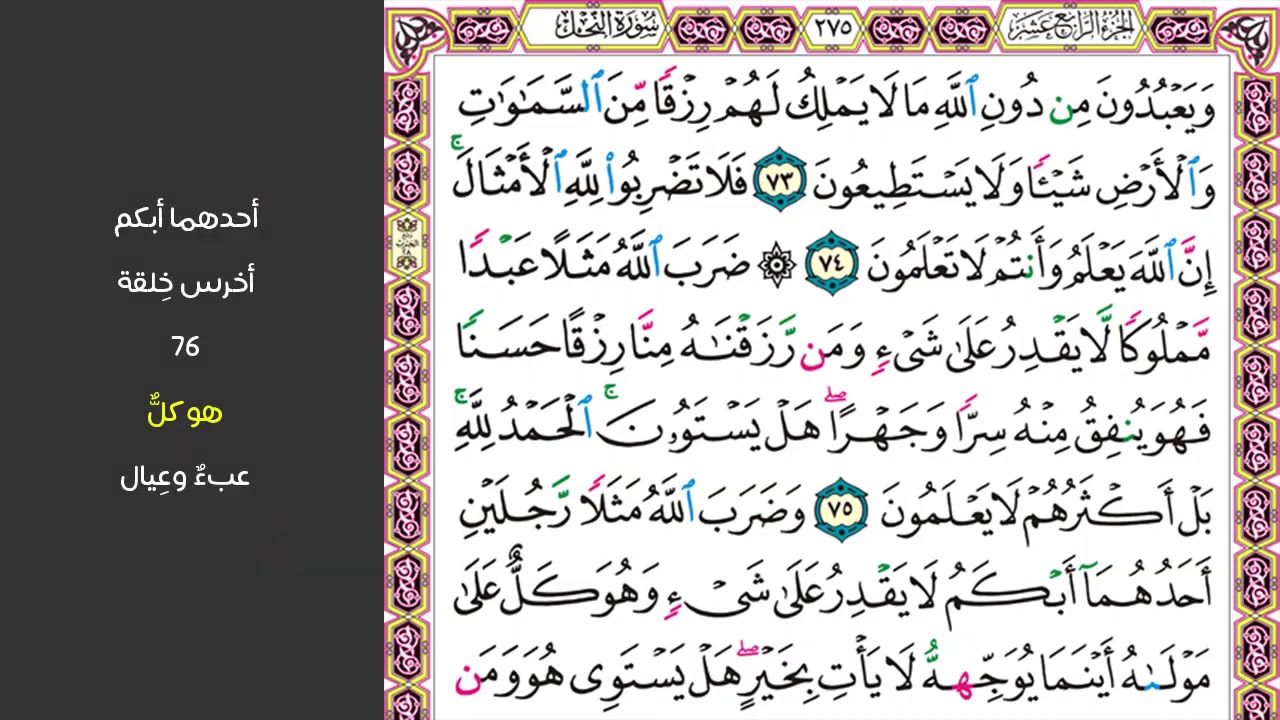 9سورة النحل |صفحة275 | ويعبدون من دون الله ما لا يملك لهم رزقا || مكررة عشر مرات ||ماهر المعيقلي