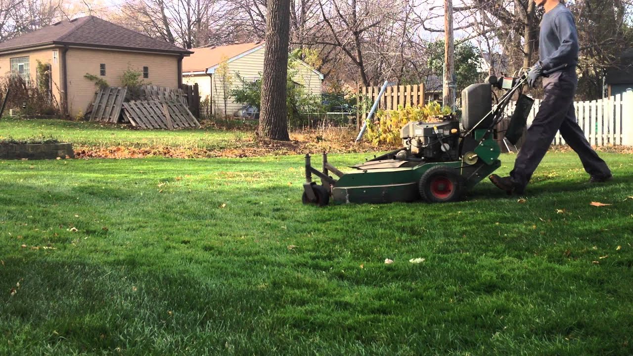 Bobcat walk behind mulching leaves