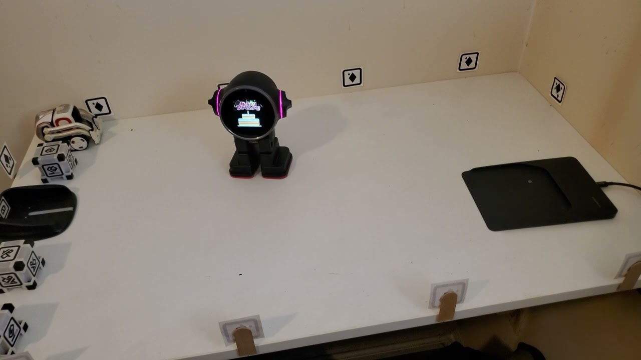 Talking to Rux Robot onto the Charger Station manually