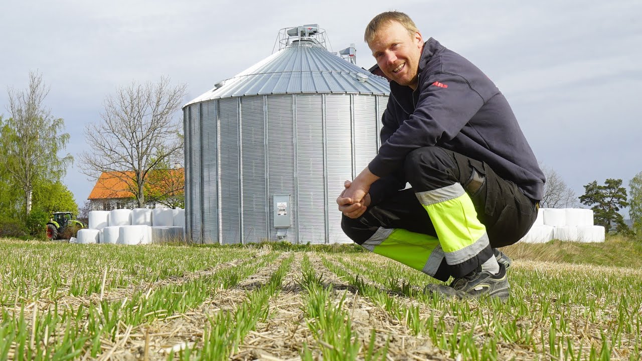 Horsch Avatar 4.16 SD | Jørgen Thorshov | Oppspiring