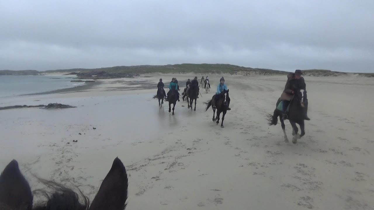 Wanderritt in Irland: 5 Tage auf dem Connemara Trail mit zwei Tinkerpferden