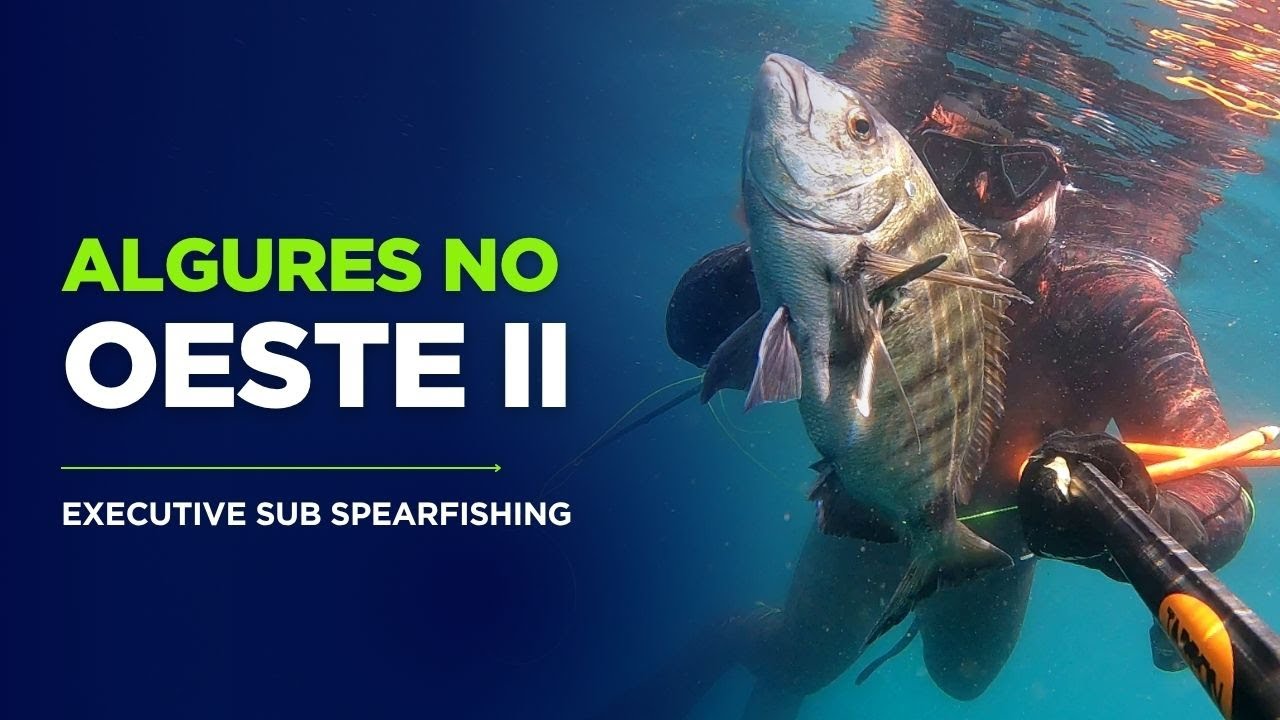 Algures no Oeste II 2025 (Pesca Submarina Portugal)