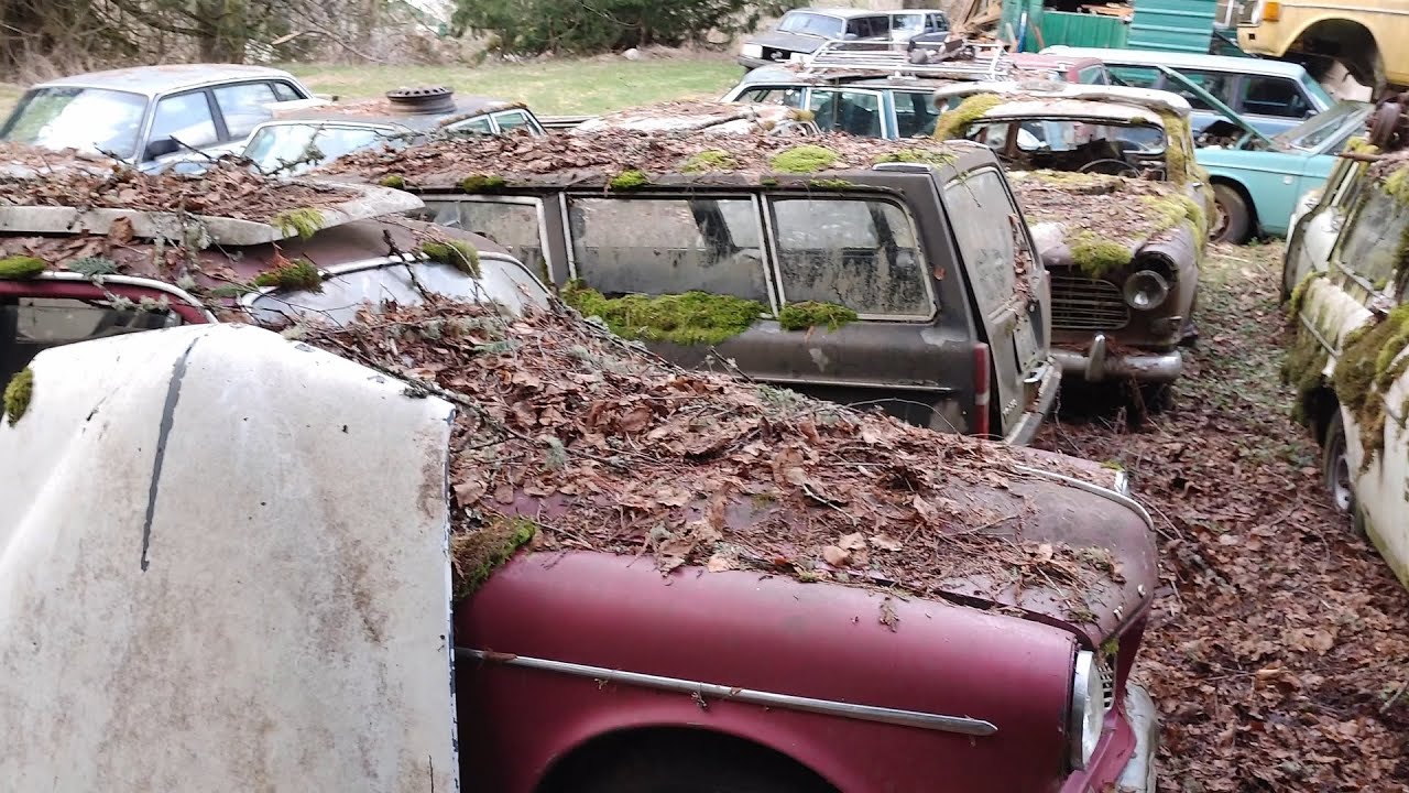 100's OF CLASSIC VOLVOS LEFT TO ROT!