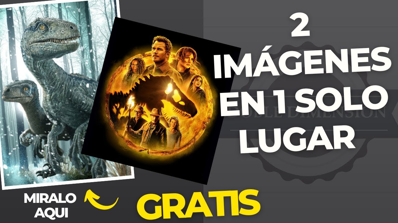 Efecto lenticular FLIP 2 IMAGENES (Funda de celular lenticular) 50 Lpi