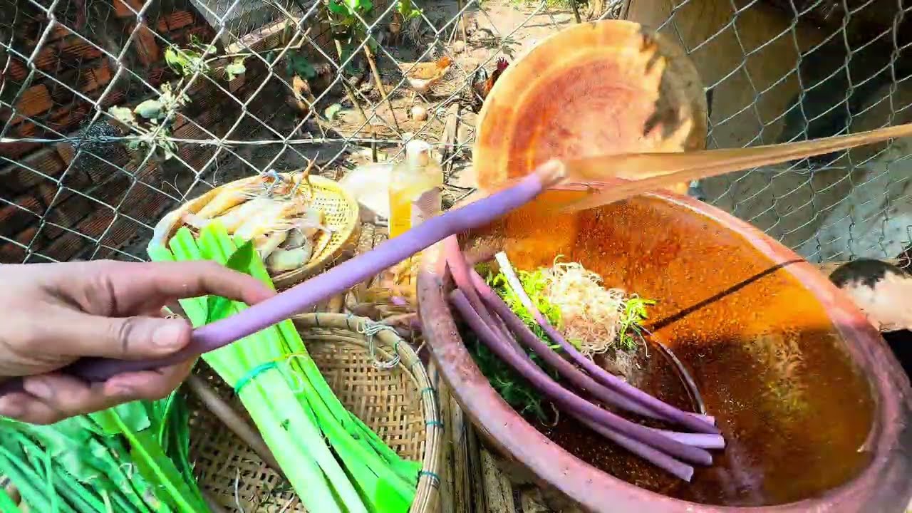 Thảo củ chi volg nấu ăn